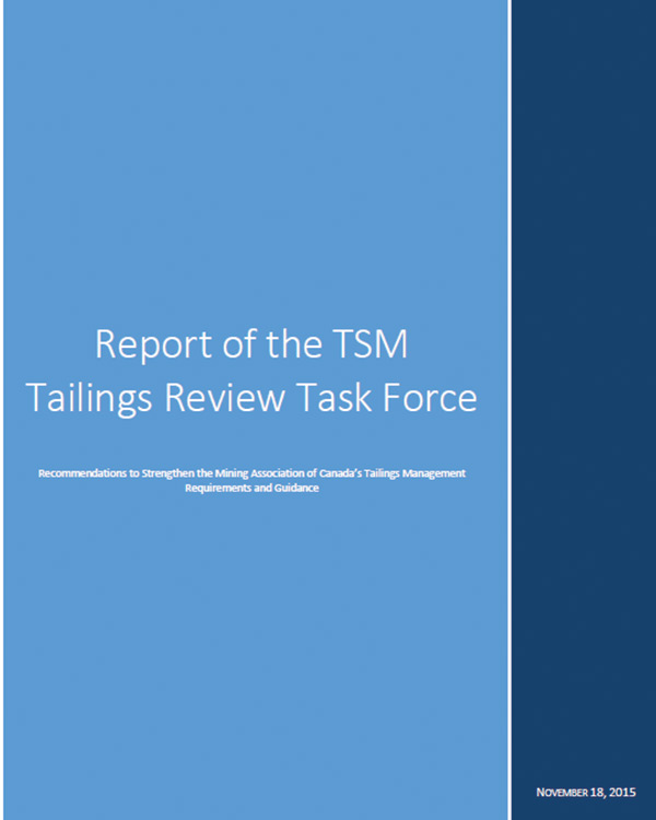 Report of the TSM Tailings Review Task Force