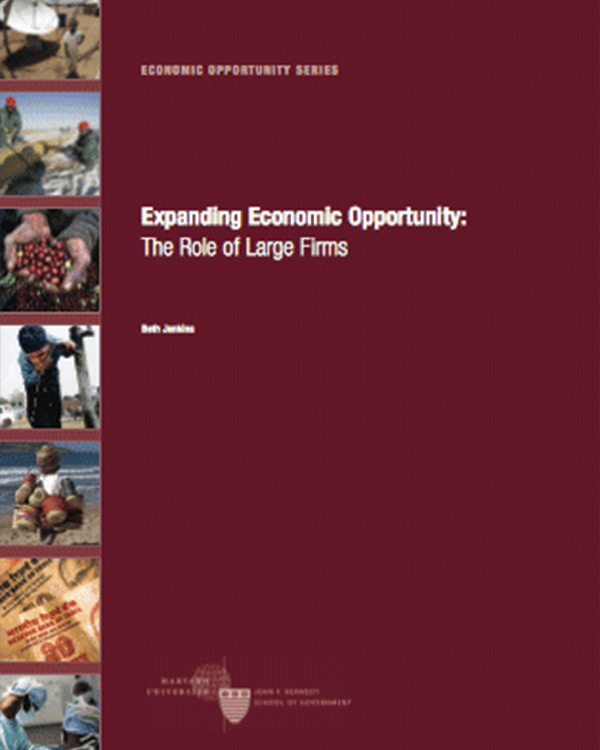 Expanding Economic Opportunity: The Role of Large Firms