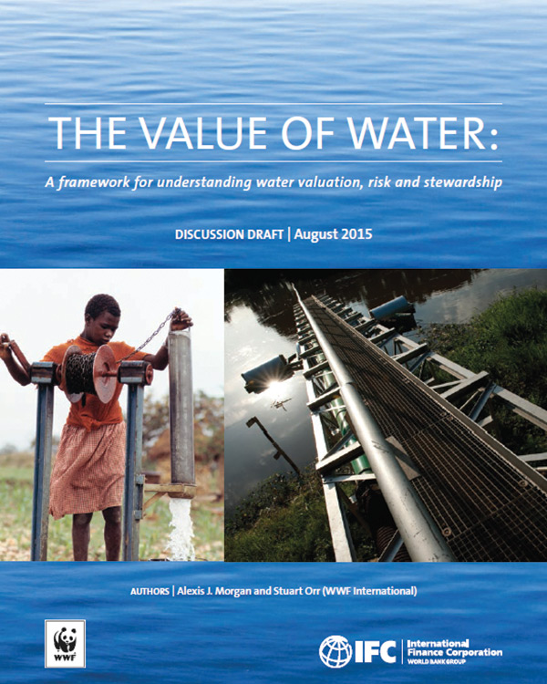 Rethinking the Value and Risks of Water for the Private Sector